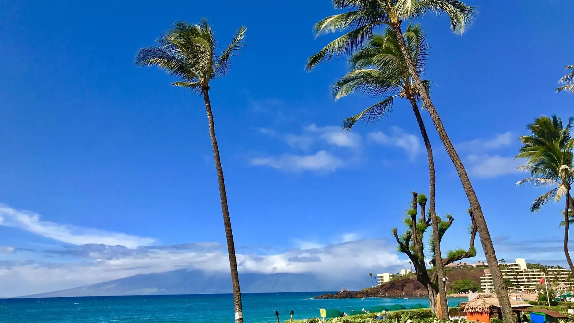 Whaler 102 Villa Lahaina 0*,  USA